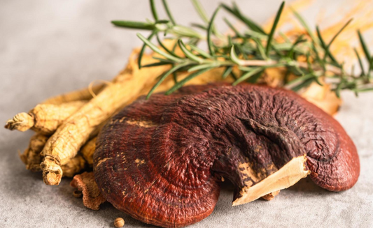 What Science Says about Gut Health and Mushrooms