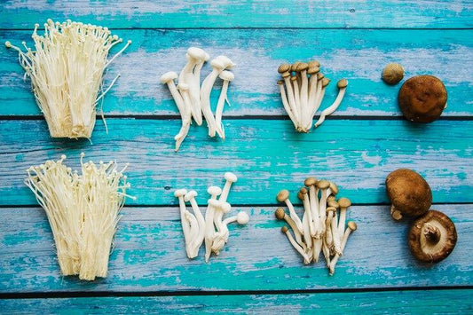 How Adaptogenic Mushrooms Support Mental Clarity