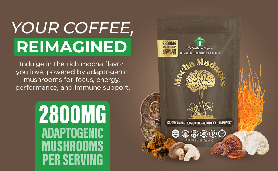 Mocha Madness