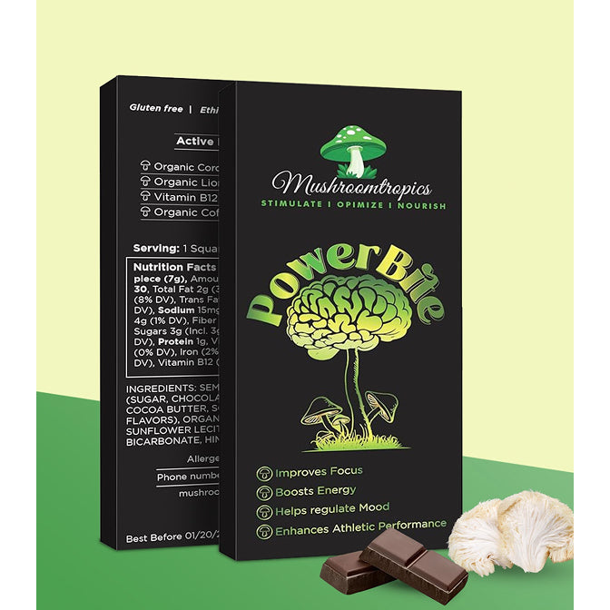 PowerBite Chocalate