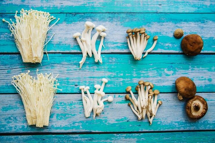 How Adaptogenic Mushrooms Support Mental Clarity