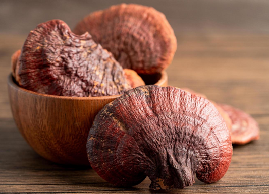 Better sleep with adaptogenic mushrooms