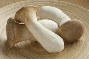 6 King Trumpet Mushroom Benefits You Should Know